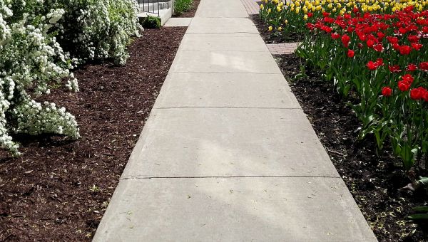 Cost of Concrete Sidewalk Service in Littleton