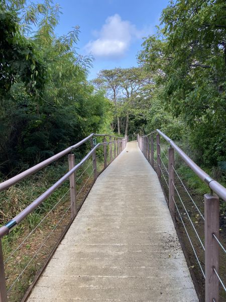 Cost of Footpath Construction in Littleton
