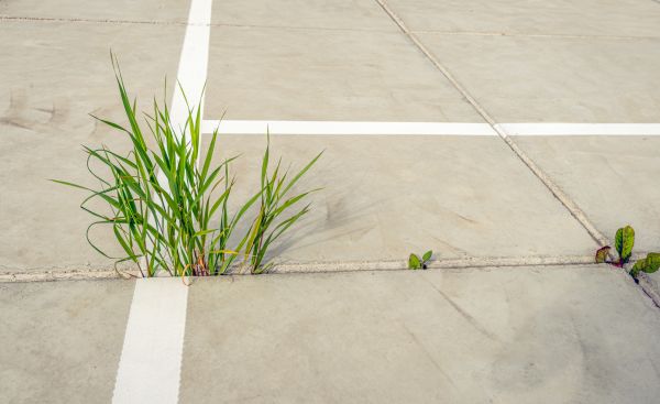 Concrete Parking Installation in Littleton