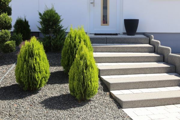 Exterior Steps Construction in Littleton