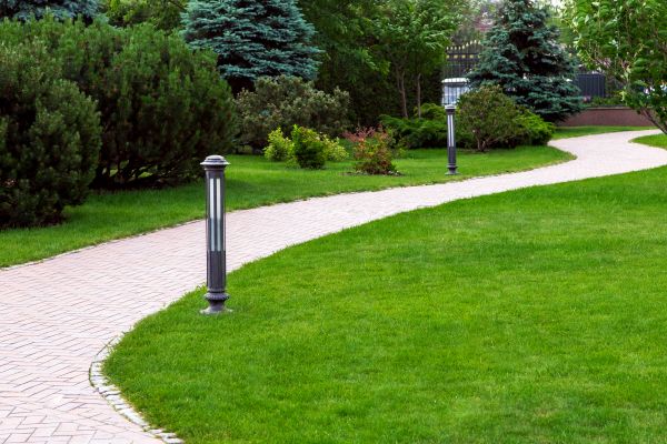 Cost of Backyard Sidewalk Installation in Littleton