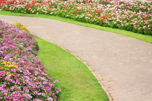 Cost of Concrete Walkway Service in Littleton
